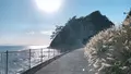 江の島の写真_1000723
