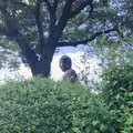 護国寺の写真_1000783