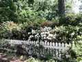 三鷹の森ジブリ美術館の写真_1000787