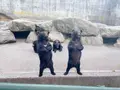 クマ牧場前の写真_1001002
