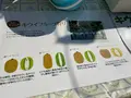 マザー牧場の写真_1006278