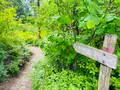 風越山の写真_1006770