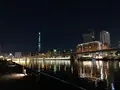 隅田川テラスの写真_1012449