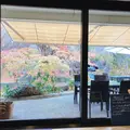 カフェ&ガーデン しらさぎ邸の写真_1022841