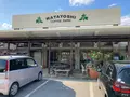 又吉コーヒー園の写真_1026831