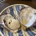 海鮮料理 磯の写真_1055727
