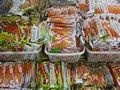 日本一のだがし売り場の写真_1055743