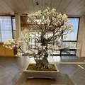 大宮盆栽美術館の写真_1065194