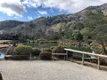 天龍寺の写真_1065553