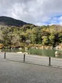 天龍寺の写真_1065554