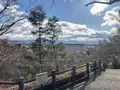 天龍寺の写真_1065556