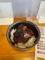 支那虎の写真_1073673