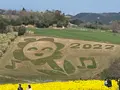 あわじ花さじきの写真_1082278