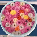 砥部焼陶芸館の写真_1084244