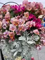 上野恩賜公園（上野公園）の写真_1084896