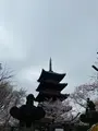 上野恩賜公園（上野公園）の写真_1084904