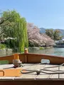 岡崎疏水の写真_1090583