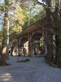 南禅寺の写真_1093130