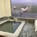 旅館 ふじ重の写真_1094346