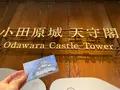 小田原城の写真_1097690