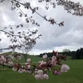 モエレ沼公園の写真_1106694