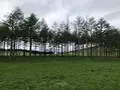 モエレ沼公園の写真_1106695