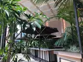大同生命札幌ビル miredo (ミレド)の写真_1106698