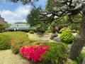 清澄庭園の写真_1106779