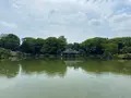 清澄庭園の写真_1106780