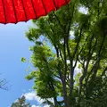 志”満ん草餅（じまんくさもち）の写真_1106796