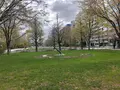 大通公園の写真_1109249
