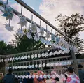 川越氷川神社の写真_1110059