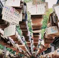 川越氷川神社の写真_1110061