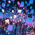 【閉業】森ビルデジタルアートミュージアム：エプソン チームラボボーダレス（MORI Building Digital Art Museum: EPSON teamLab Borderless）の写真_1110755