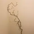 暮らしの雑貨と喫茶 / 和白の写真_1112492