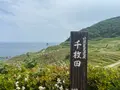 道の駅千枚田（輪島千枚田レストハウス）の写真_1118345