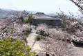 千光寺公園の写真_1119638