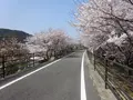 片鉄ロマン街道サイクリング道の写真_1132266