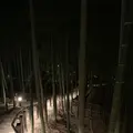 ふふ 奈良の写真_1137457