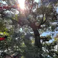 黒龍堂の写真_1139017