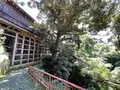 舟廊下の写真_1139034