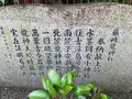 藤ケ崎龍神の写真_1139060
