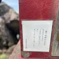 藤ケ崎龍神の写真_1139062