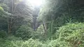 羅生門の写真_1148684