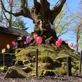 熊野皇大神社の写真_1154556