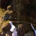熊野皇大神社の写真_1154557