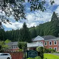 湯布院 ホテル森のテラスの写真_1169286