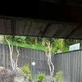 湯布院 ホテル森のテラスの写真_1169289