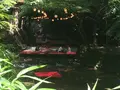 貴船べにやの写真_1173111