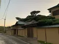 うめ乃やの写真_1175967